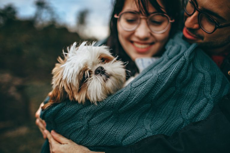 Emotional Support Animal In Pennsylvania Laws And Benefits